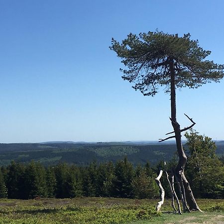 Berg- Und Seeblick วินเทอร์แบร์ก ภายนอก รูปภาพ